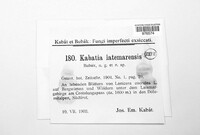 Kabatia latemarensis image